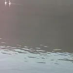 Апартаменты Korthi By The Seaside.