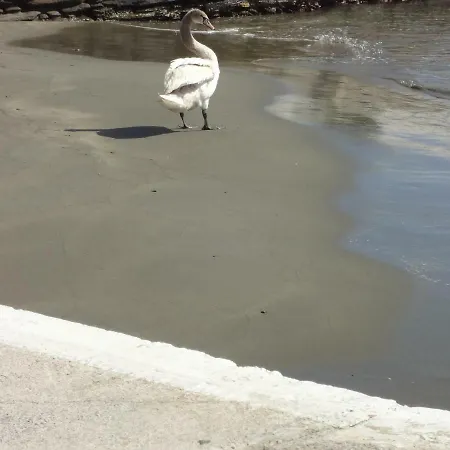 Korthi By The Seaside. *