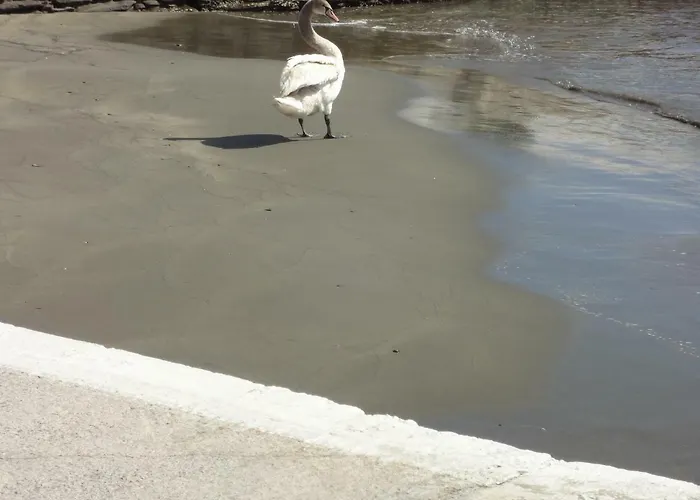 Korthi By The Seaside. *